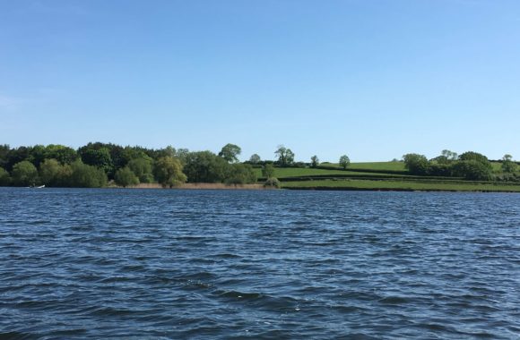 SCIENTIST SUGGESTS FISH PEOPLE PARTY AT CHEW VALLEY LAKE SCIENTIST SUGGESTS FISH PEOPLE PARTY AT CHEW VALLEY LAKE