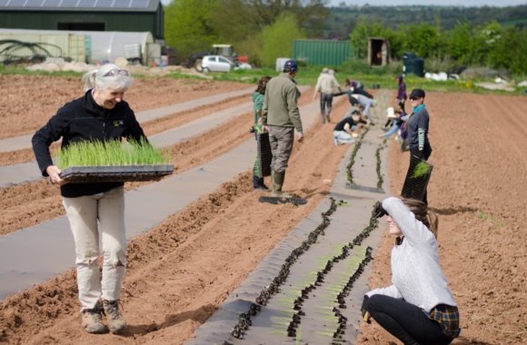 Vote for the Community Farm to build a feel good garden! Vote for the Community Farm to build a feel good garden!